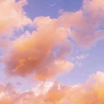 8188www威尼斯截图